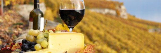Wine and cheese in the vinyard